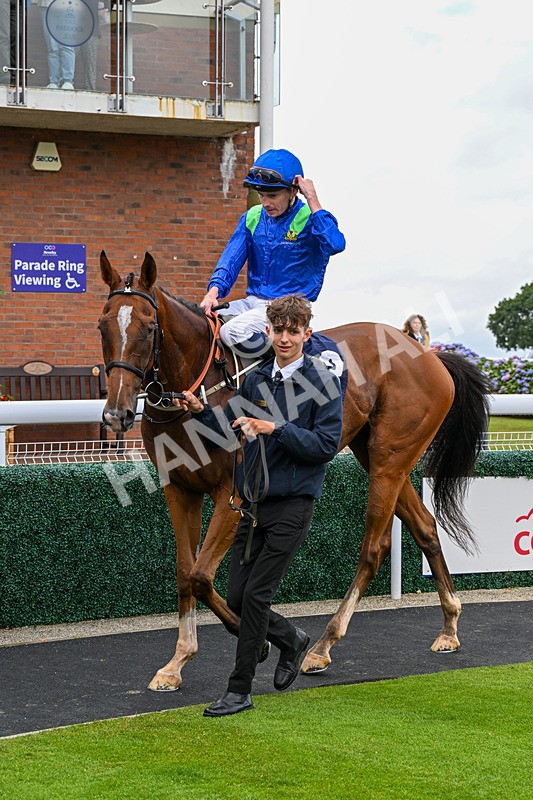 150725-Race 5-Sax Appeal-0808 - Race 5