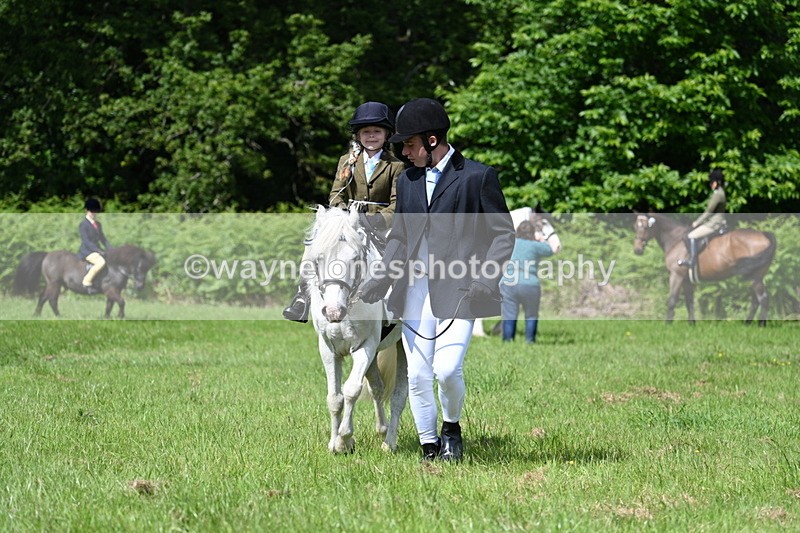 WJ7_1209 - Class 11 Condition & Turnout