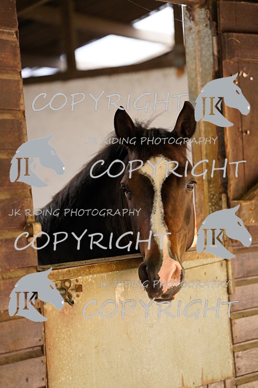 _DSC4427 - General Photos of the week!