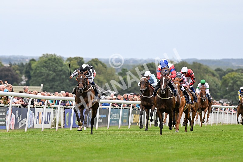 150824-Race 5-Pons Aelius-4281 - Race 5