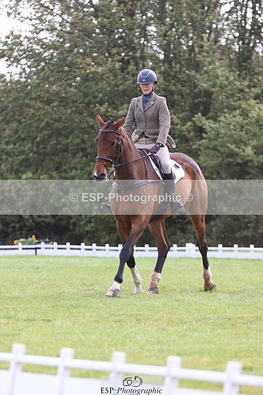 261023A-115845-12569 - D-368-Steffi.Dampney
