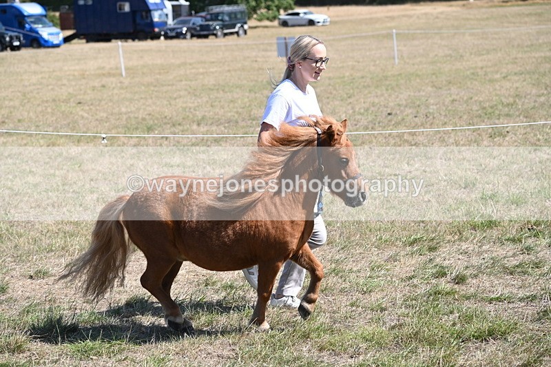 WJ6_9225 - Championship Classes 33-38