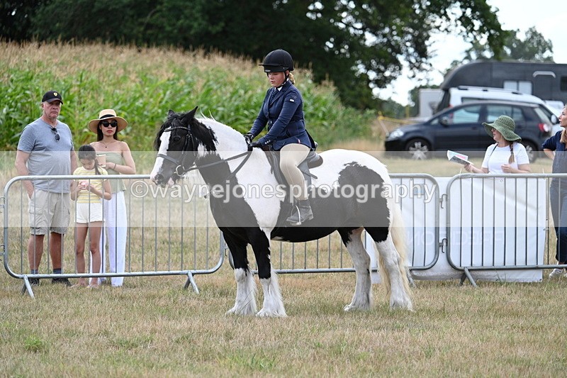 WJ7_5386 - Class 12 Ridden Cob