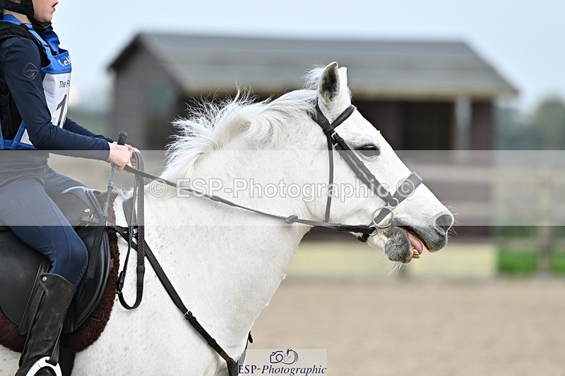 241110-123240-00696 - 50-55cm Arena Eventing