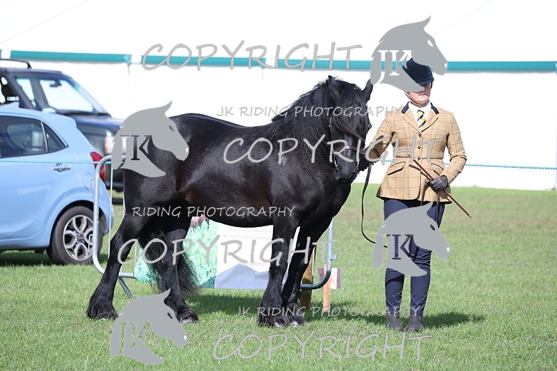 APP_2760 - Class 10a/b M&M in hand