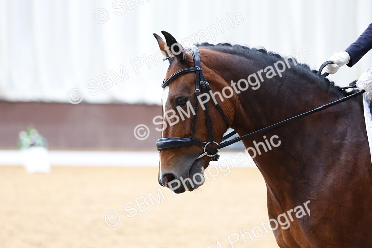 SBM_016029 - Class 15 - Novice FSM - 9.50 - 11.10