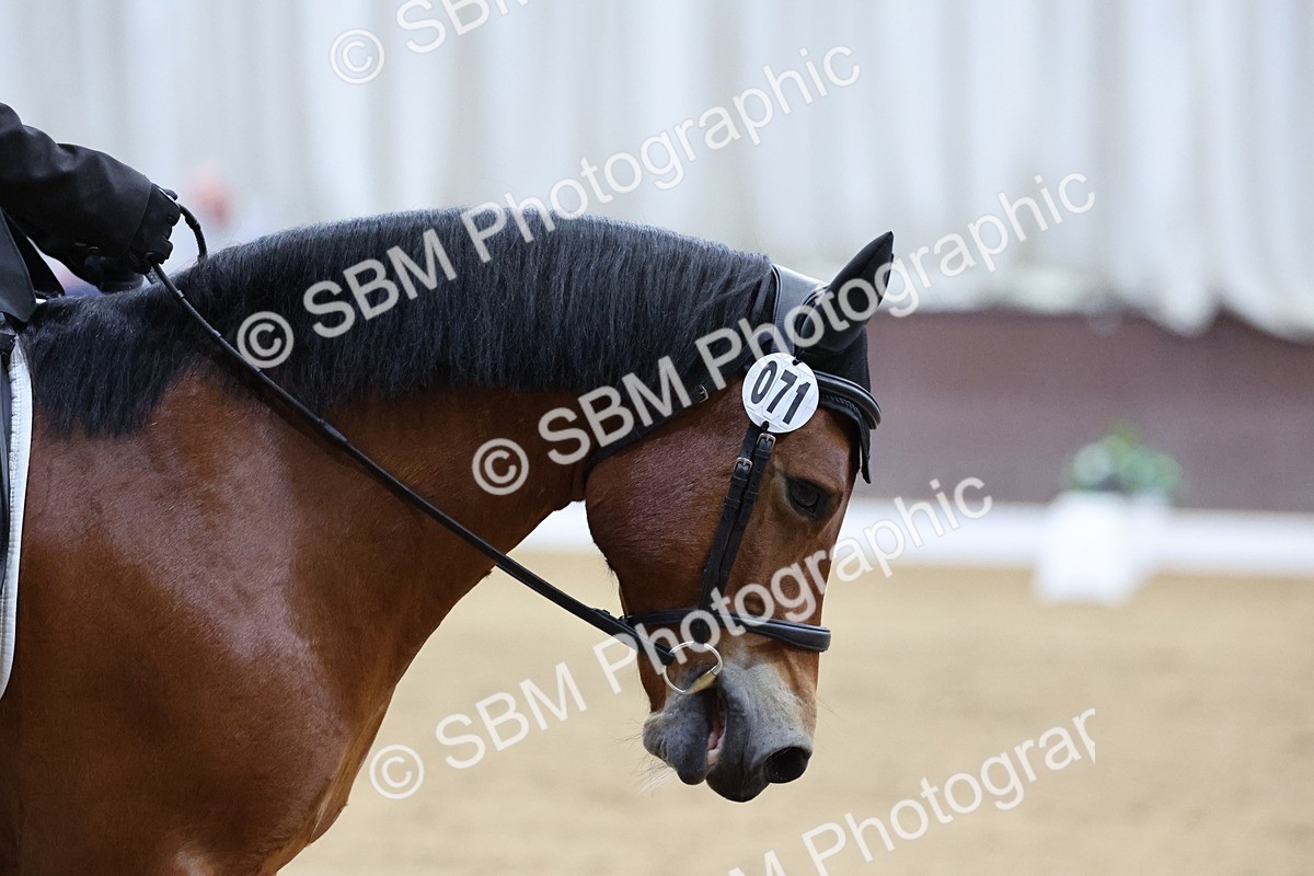 SBM_000800 - Class 5a - Prelim 5 -  8.28-9.31