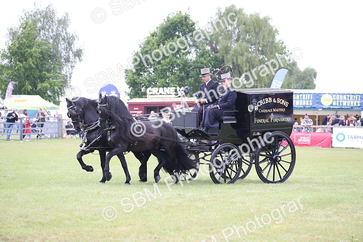 SBM_07032 - Class 16 - Light Trade