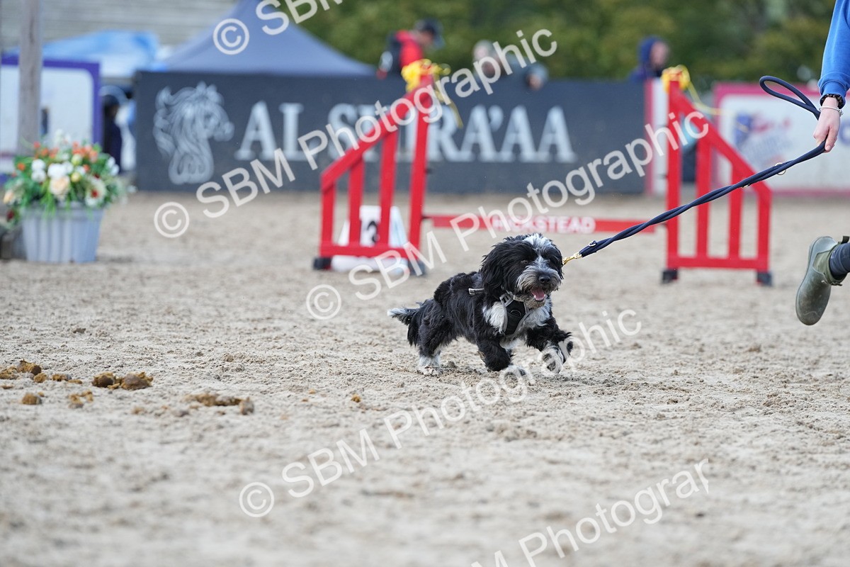 SBM_29190 - J43 - Horse & Hound Open 50cm