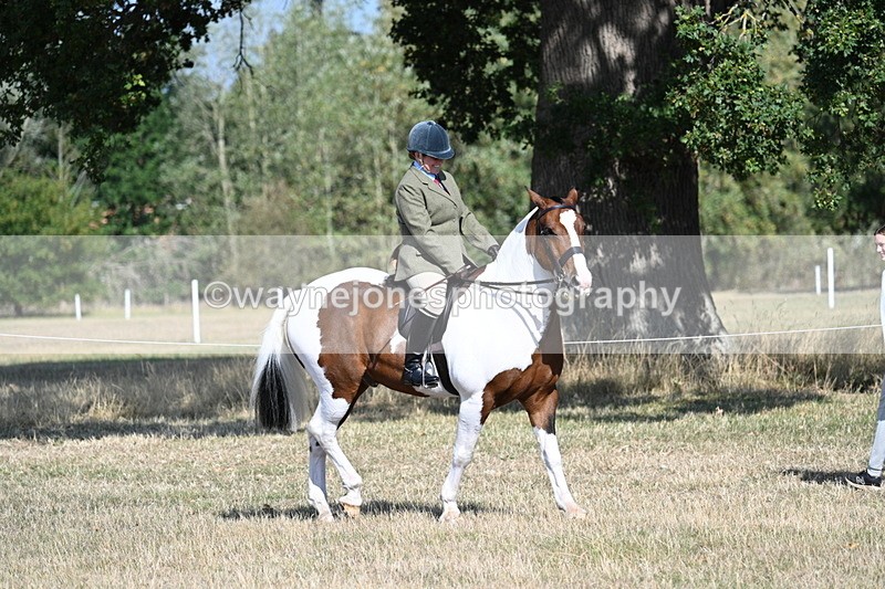 WJ7_2774 - Class 8 Ridden Tack & Turnout