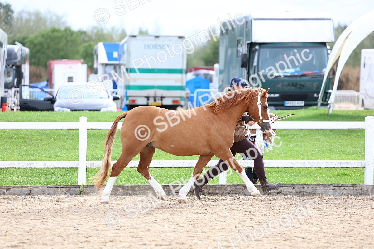SBM_05834 - Class 29 - IH Veteran Pony
