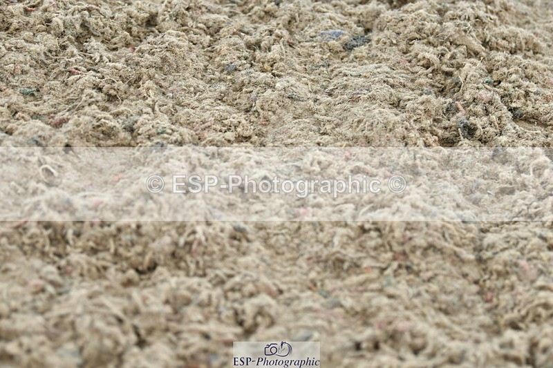 230721A-121220-06043 - Cls 18, 1 Star Silver 1.20m