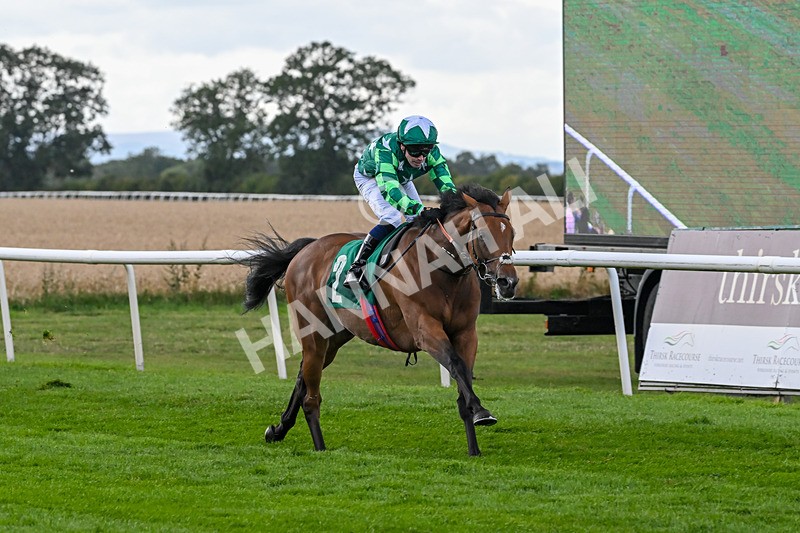 080825-Race 5-Paddy The Squire-2664 - Race 5