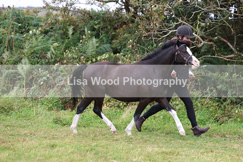 3E7A4329 - Class 15: Three Year Olds