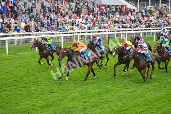 080925-Race 7-Canvas-7849 - Race 7 5.30pm Sky Bet, For The Fans Mile Apprentice Handicap