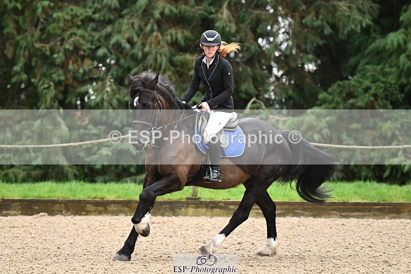 250322A-083120-01809 - Cls 16 85cm Amateur Quali