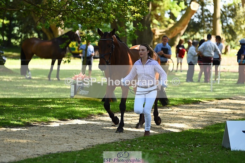 230524-152728-00277 - 329-VINTAGE_GRAFFITI-Alice_Hallows-WEDTrotUp+DR