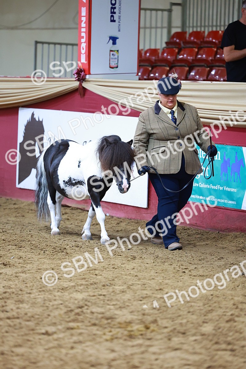 SBM_18545 - Class 903 - Sup Final - IH Pre Vet
