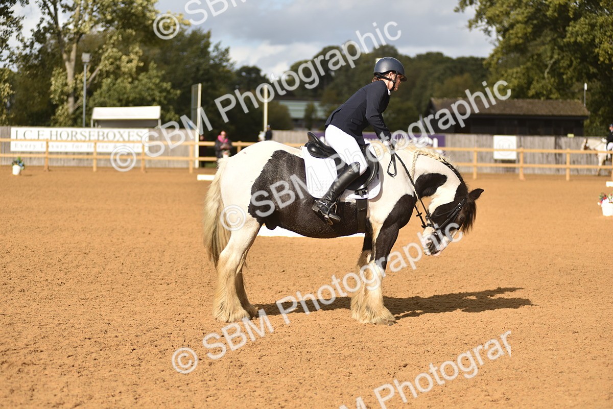 SBM_48862 - D22 - Junior Championship Intro 3