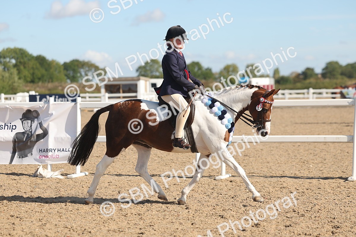 SBM_12437 - Class 304 - Ridden part Bred Horse Pony