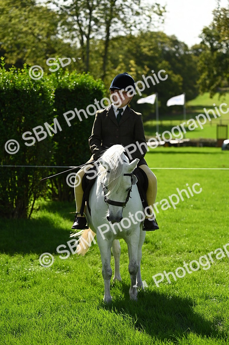 SBM_02854 - S3 - TSR Ridden Pony Showing