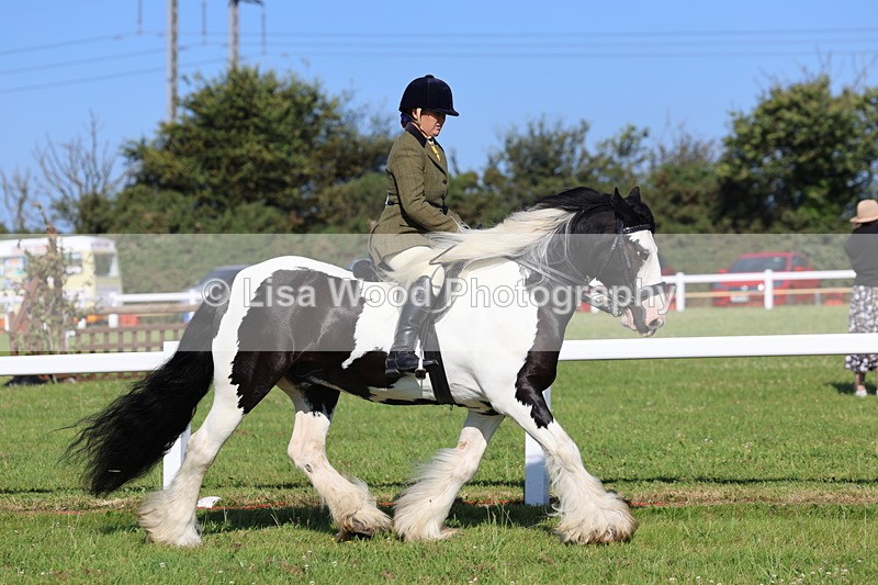 IMG_1470 - Class 30: Ridden Native/Trad Coloured Pony