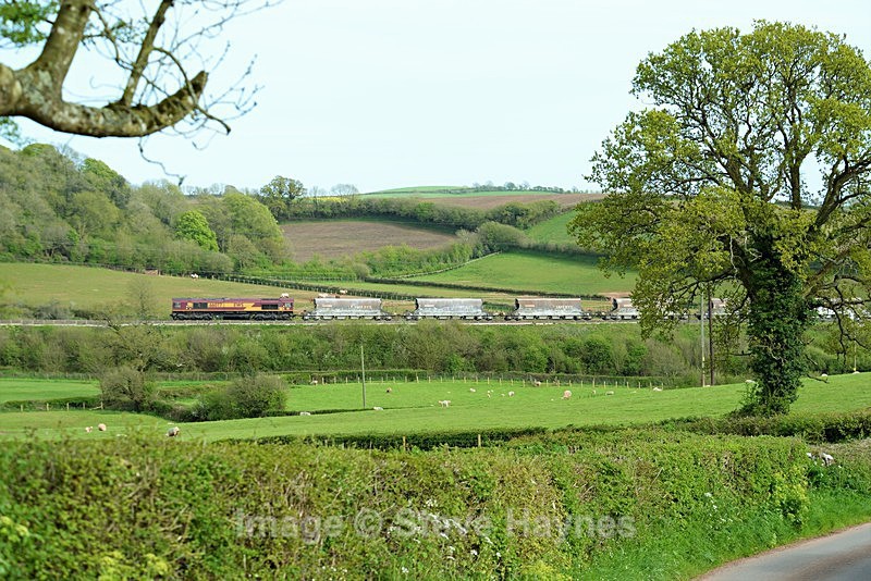 3rd May 2018 - Dainton Bank, Devon