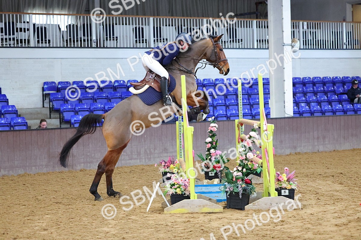 SBM_003517 - Class 17 - Blue Chip Calming Performance Championship Qualifier