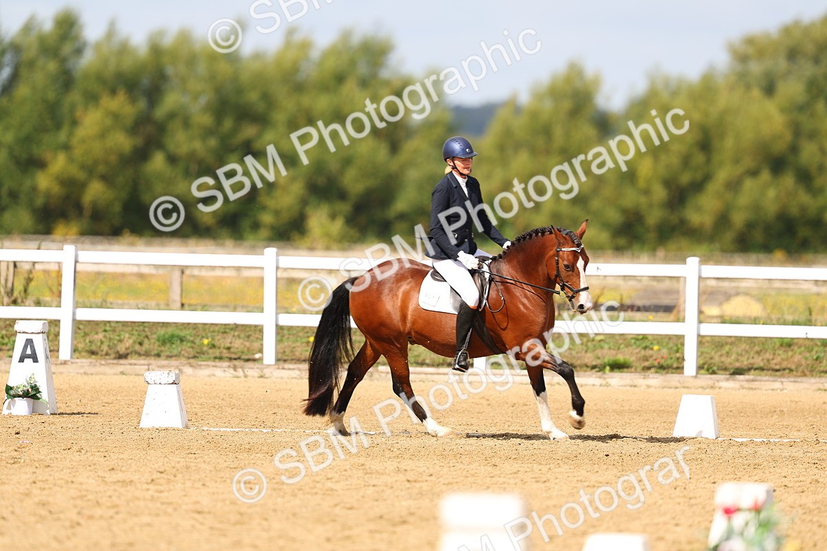 SBM_011429 - Class 2 - Prelim 19 - 10.08-11.18