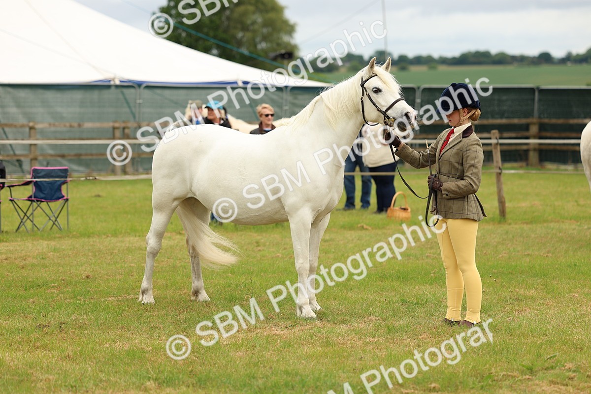SBM_04227 - Class 64-67 - Shetland Pony In Hand