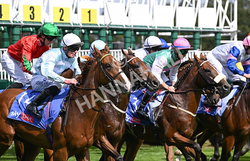 220826-036 Steel Raven - Race 2 14.25pm Sky Bet Melrose Handicap