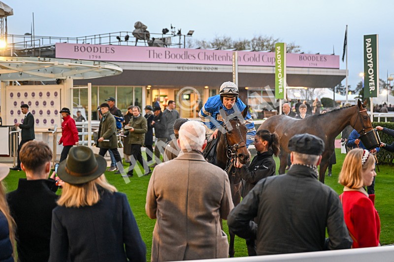 151125-Race 7-Divine Diva-4811 - Race 7