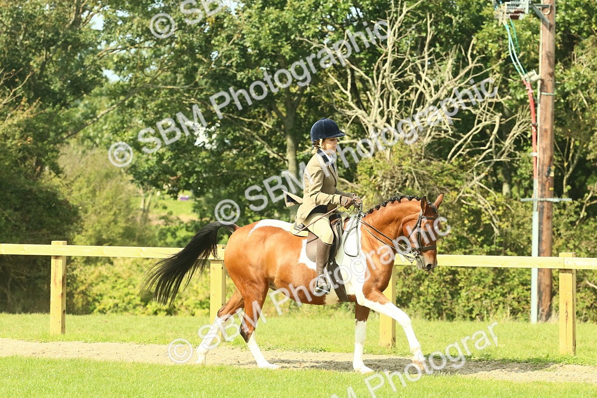 SBM_67451 - S56 - Coloured Pony Ridden