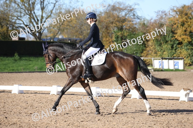 20251102-0736 - Class 4 - Novice 6