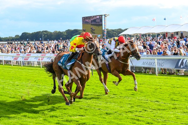 280723-Race 2-Quest For Fun-0206 - Race 2 5.30pm eventmasters.co.uk Handicap