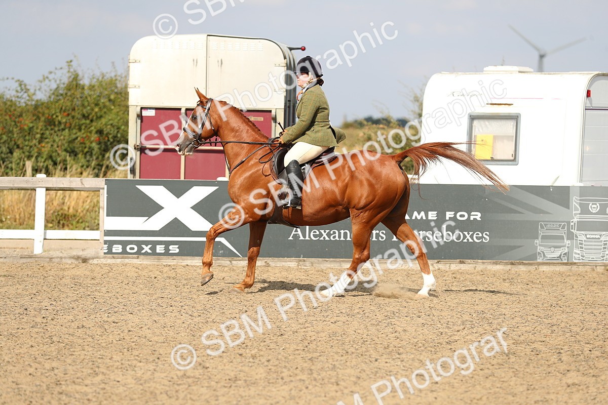 SBM_06884 - Class 49a Style & Performance 80cm (15-19)