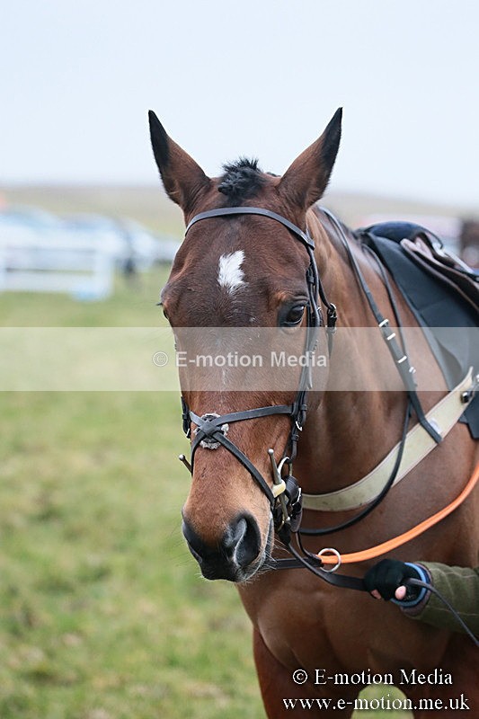 PtP 170219 -169 - Combined Services Point-To-Point Larkhill 17/02/19