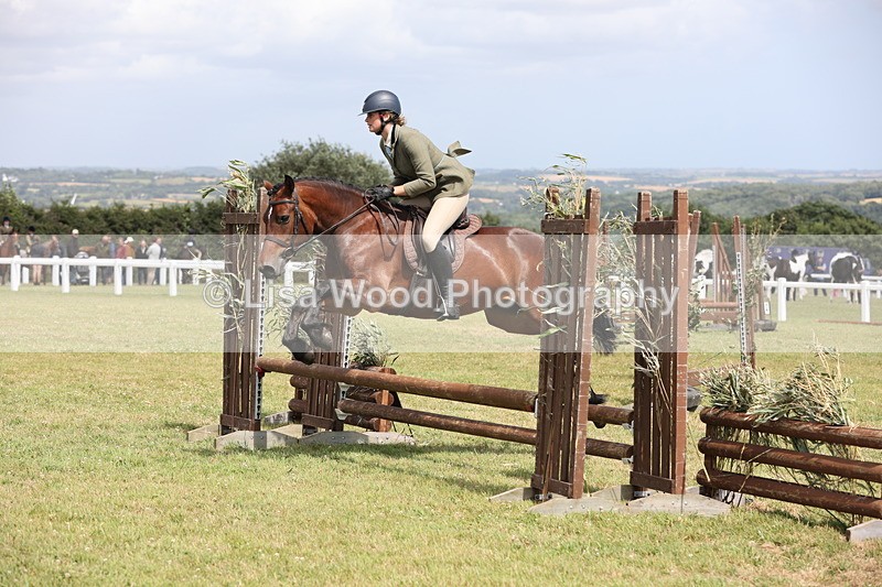 JPP_2045 - Class 19: Working Hunter 60cm