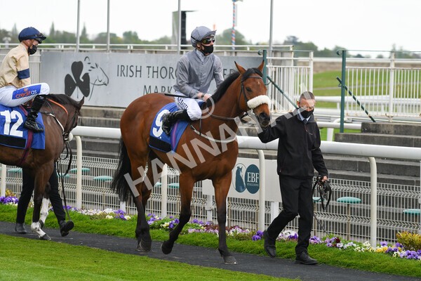 yr14052021r6-3 - Race 6 4.15pm Yorkshire Equine Practice Stakes