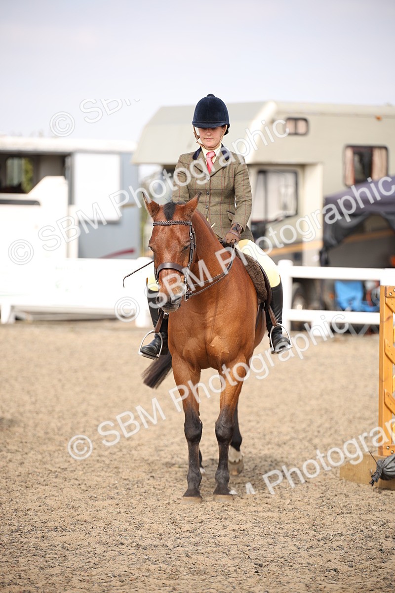 SBM_14231 - Class 407a - Working Veteran 60cm (15-19