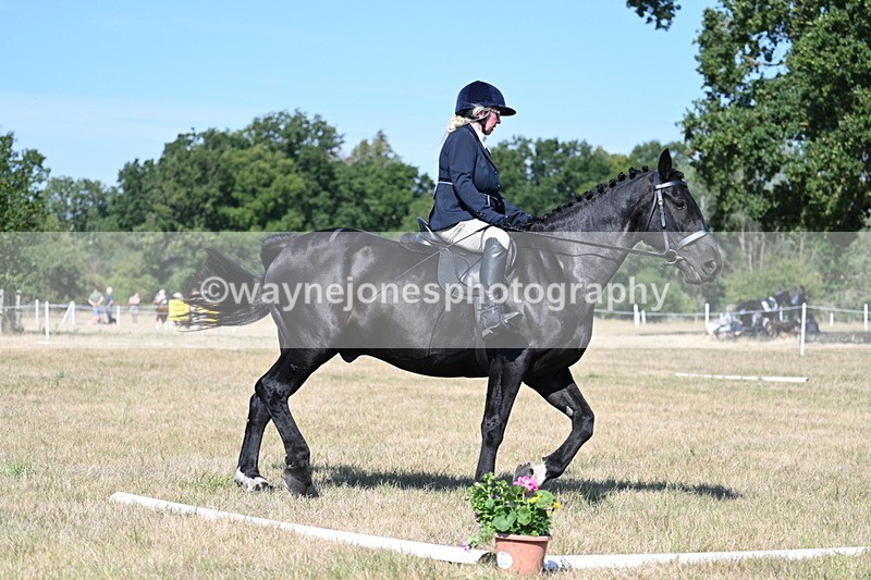 WJ7_9927 - Time 11:03 to 11:28