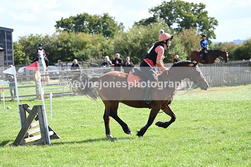 WJ7_1352 - Time 13:56 to 14:24