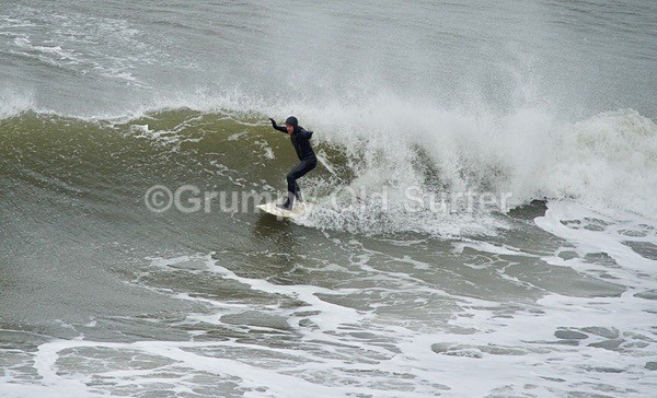 DSC_1745 - Cayton Bay - 11th April 2017