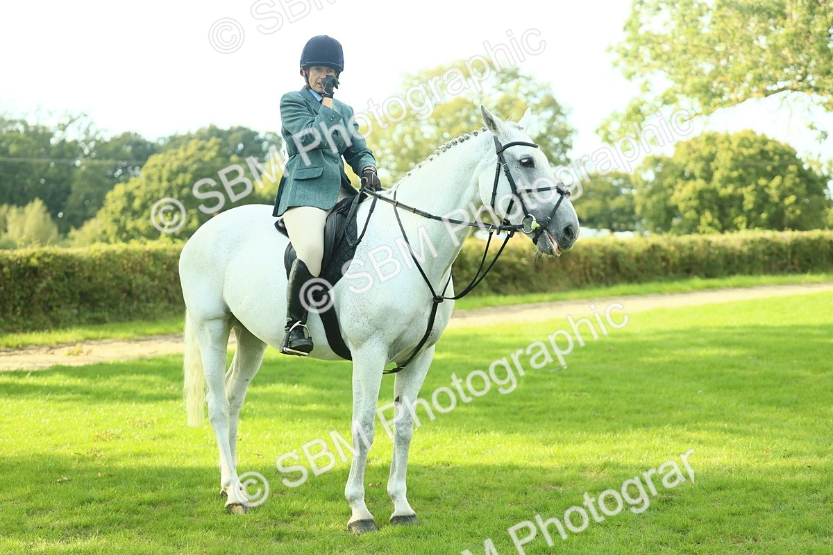 SBM_52200 - S33 - Working Hunter & Working Show Horse