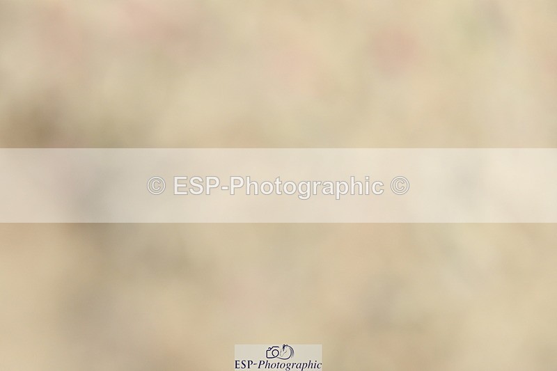 230702A-124253-09347 - Cls 29 Elementary 57