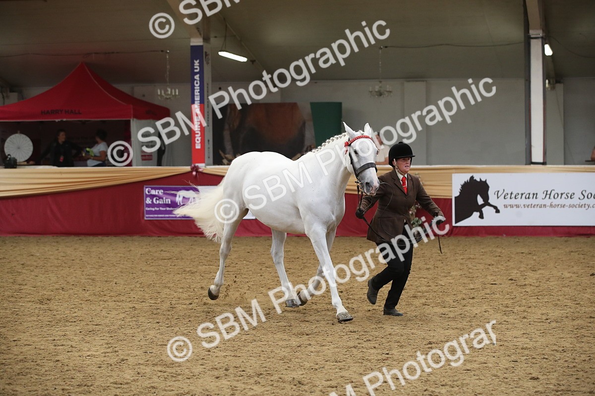 SBM_05717 - Class 9R - Regional IH Pre-Vet