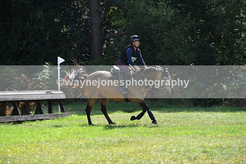 WJ5_2346 - XC Time 11:17 to 11:50