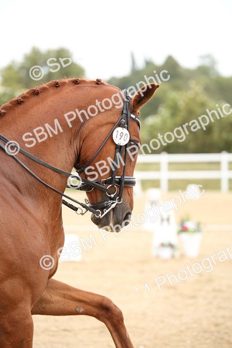 SBM_020180 - Class 26 - PSG Silver