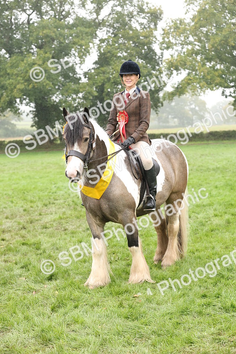 SBM_72951 - Ridden Horse Supreme Championship