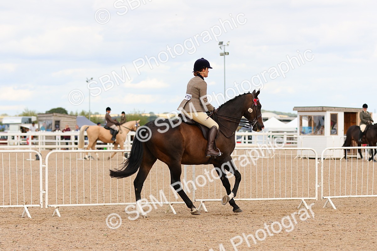 SBM_16242 - Class 217 - Ridden Retired Racehorse